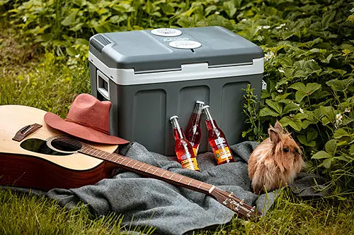 Туристический холодильник Camry CR 8061  45 л - фото 5