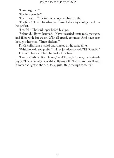 The Witcher. Sword of Destiny - фото 7