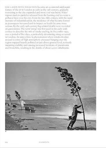 Elements. Chaos, order and the five elemental forces - фото 10