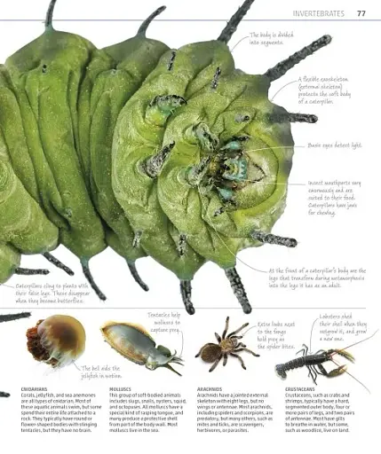 Explanatorium of Nature - фото 5