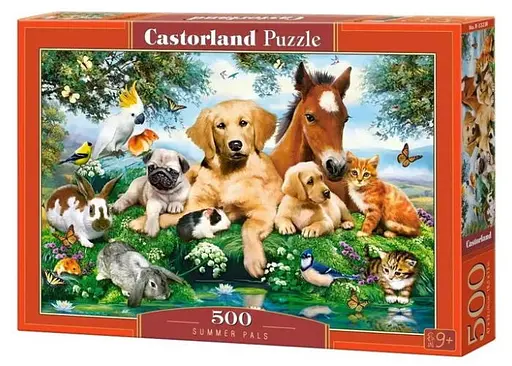 Пазл Castorland puzzle Літо з друзями, 500 ел. (B-53230)