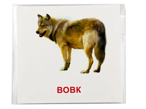 Розвиваючі картки "Лісові мешканці" (110х110 мм) 66425 укр. /англ. мовою - фото 3