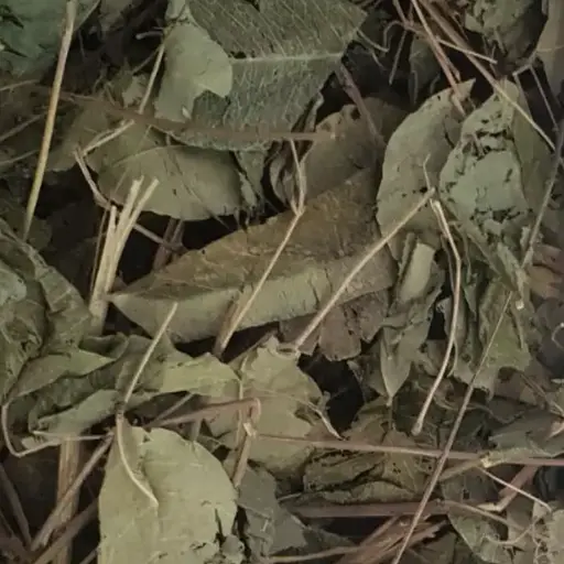 100 г леспедіця копієчникова лист/трава сушена - свіжий урожай