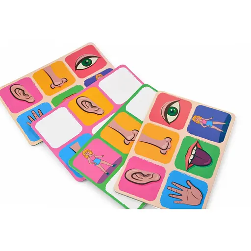Детское лото "Органы чувств" 2279-UM 4 поля, 48 фишек - фото 3