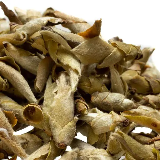 Чай Jinglong Tea Factory Дикие почки с пуэрных деревьев Гу Шу Я Бао от Цзин Лун 2021 г. - 50 г - фото 5
