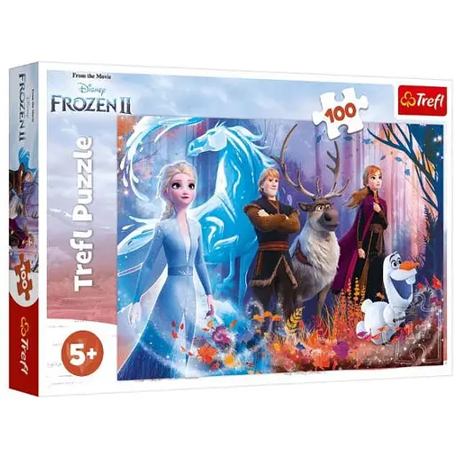 Пазл Trefl Очарование Ледяное сердце 2 100 эл. (16366)