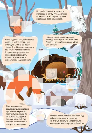 Світ навколо: У лісі - фото 5