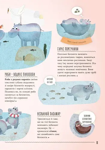 Несподівана дружба у природі - фото 7