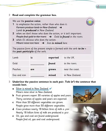 Grammar Goals. Level 5. Pupil's Book Pack - фото 4