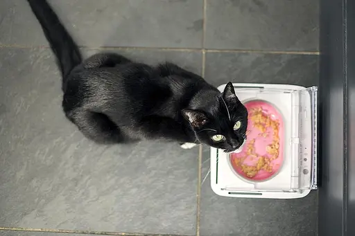 Кормушка Surefeed с управлением движением из пластика для кошек собак автоматическая - фото 3