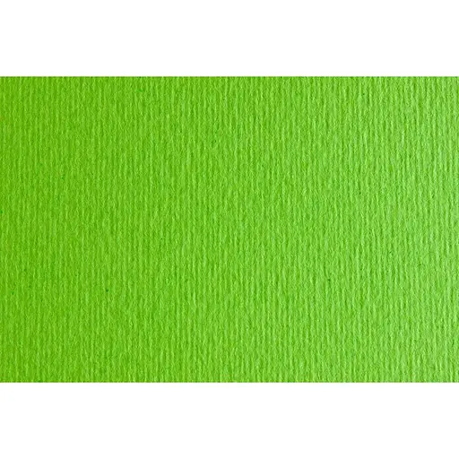 Бумага для дизайна Fabriano Elle Erre В2 (50x70см) №10 verde picello 220г/м2 салатовая
