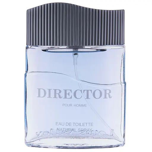 Туалетна вода для чоловіків Lotus Valley Director 100мл (MM32161)