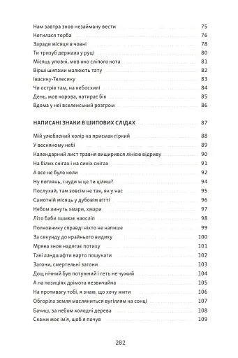 Між небом і війною - фото 5