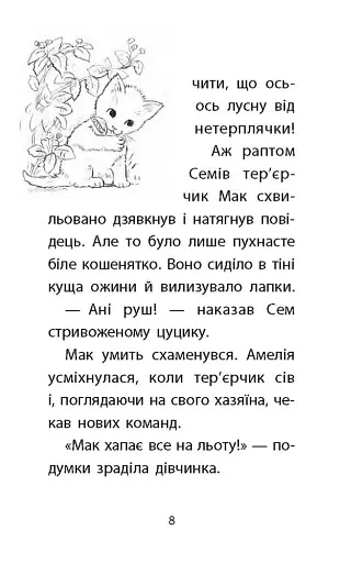 Історії порятунку. Книга 9. Загублене кошеня - фото 3
