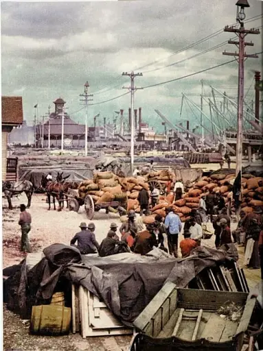 America 1900 - фото 6