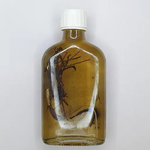 Водная настойка на корне эхинацеи 200 мл - фото 2