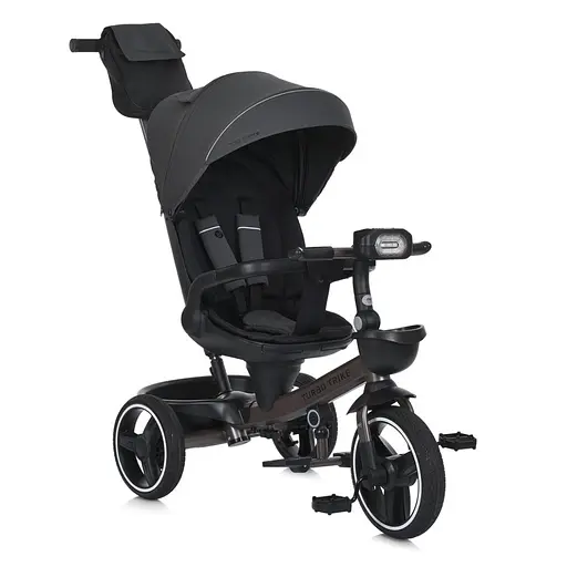 Дитячий триколісний велосипед MT 1002-2 чорний