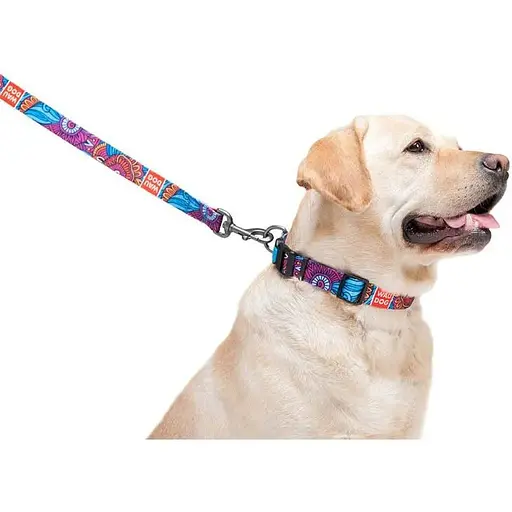 Поводок для собак Waudog Nylon нейлоновый, рисунок "Лето" - фото 3