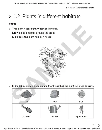 Cambridge Primary Science 2. Workbook with Digital Access (1 Year) - фото 5