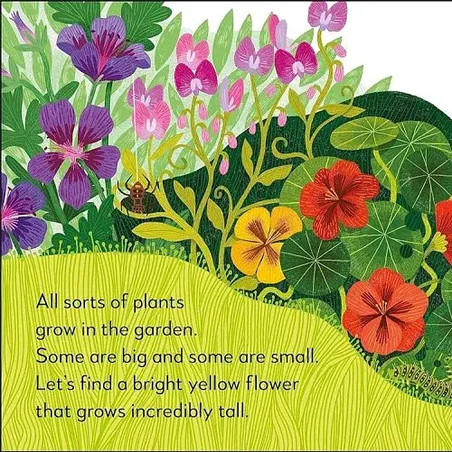 Pop-Up Peekaboo! Garden - фото 2