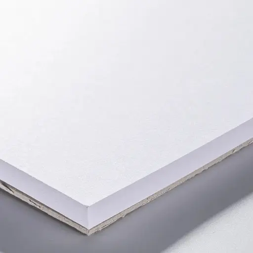 Склейка для рисунку Royal Talens Bristol А3 246г/м2 20л - фото 2