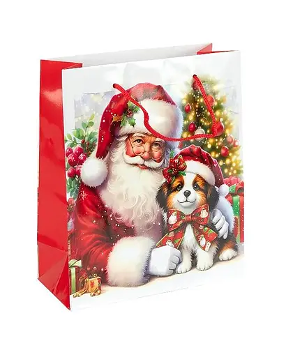 Пакет подарочный "Новый Год" 153-2 вертикальный 18*21,5*8 см, ручка-шнурок (6927661257724) Вид 2 - фото 1