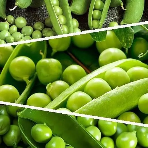 Горох "Суміш кращих популярних сортів" ТМ "Весна"  50г (45522) - фото 1