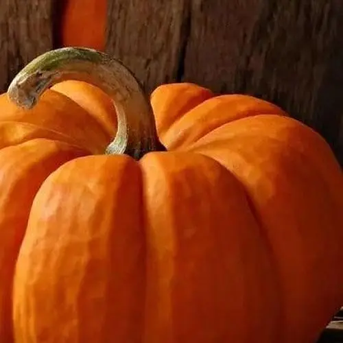 Тыква Весна Медовый десерт (в банке) Органик 20г (45421) - фото 2