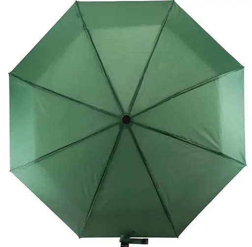 Зонтик Semi Line Green (L2036-6) (DAS303113) - фото 3
