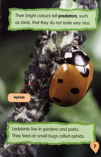 I Love Reading. 550 Words. Minibeasts - фото 5