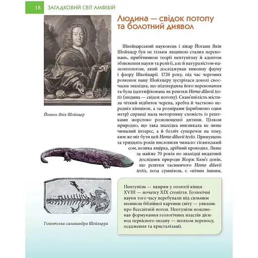 Загадковий світ амфібій - А. Гапченко (9789669892263) - фото 4