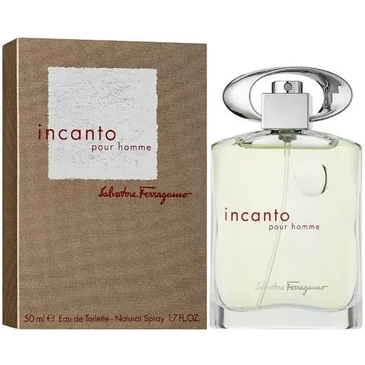 Туалетна вода Salvatore Ferragamo Incanto Pour Homme 50 мл - фото 1