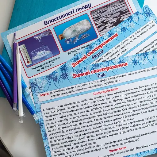 Дидактичний матеріал "Зимові спостереження" 13107147, 16 карток - фото 8