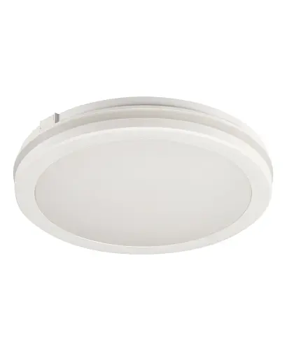 Уличный светильник Kanlux 38386 BENO ECO LED 1x40 3000K/4000K/6500K 4050/4600/4450Lm IP65 белый - фото 1