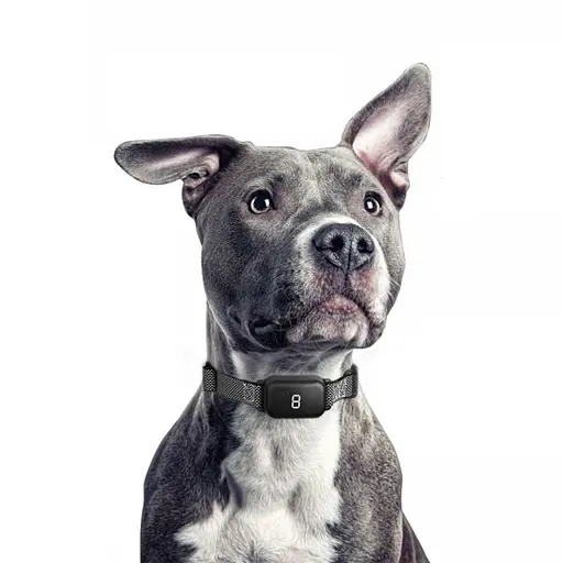 Сенсорний водонепроникний нашийник антилай зі звуком, вібрацією та електрошоком DOBE DB 800 (100984) - фото 2