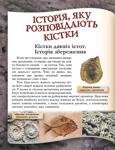 Від мавпи до людини - фото 5