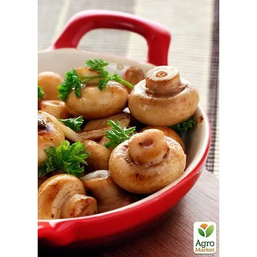 Міцелій на дубових брусочках "Глива одиночна" 10шт (45244) - фото 2