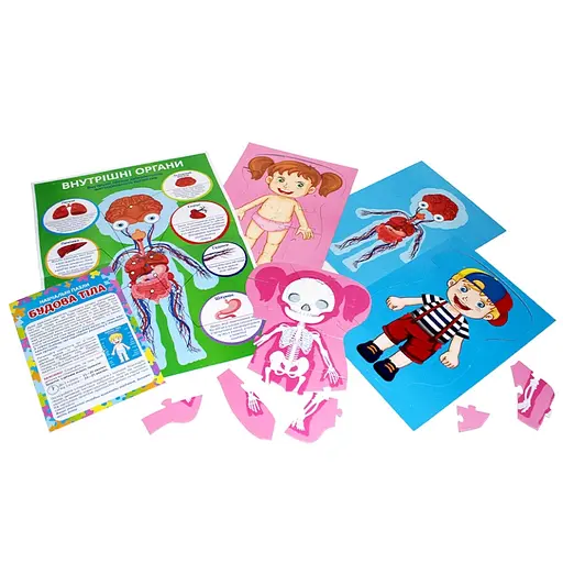 Навчальні пазли Будова тіла 13164012, 58 великих пазлів, плакат - фото 3