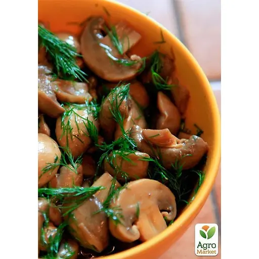 Міцелій на дубових брусочках "Опеньок цибулинноногий" 10шт (45260) - фото 2