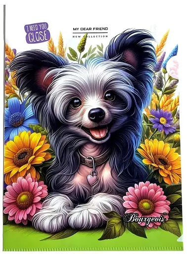 Папка Г-форма А4+, P0214 (1 отделение)