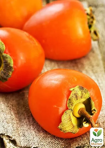 Хурма на віргінській морозостійкій підщепі Agro-Market "Бичаче серце" вкорінена в контейнері (саджанець 2 роки) (153263) 1 саджанець в упаковці - фото 2