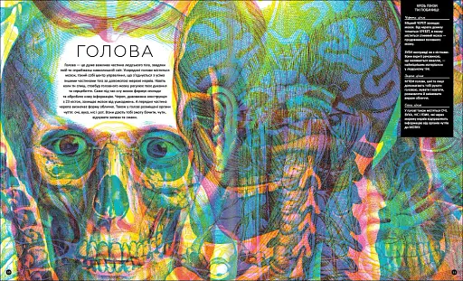 Прихований світ людського тіла - фото 8