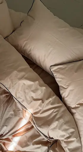 Комплект постельного белья Ecotton Shifting Sand сатин (25593) - фото 3