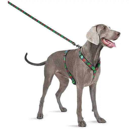 Шлея для собак Waudog Nylon анатомічна H-подібна з QR-паспортом, матеріал нейлон, малюнок "Калина", пластиковий фастекс, розмір L - фото 5