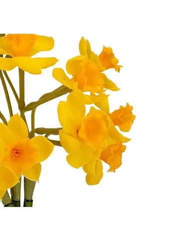 Букет нарцисів "Натхнення", жовтий, 50 см Elisey 9129-007   - фото 2