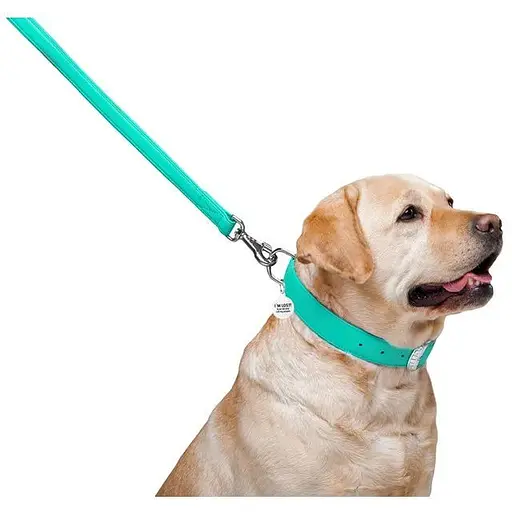 Повідець для собак Waudog Glamour шкіряний, ментоловий - фото 4