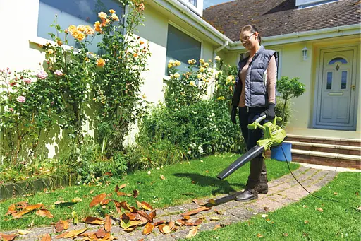 Повітродув-пилосос RYOBI RBV3000CSV з подрібнювачем 5133002188 - фото 5