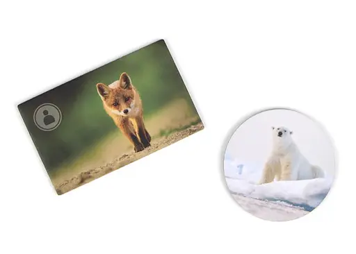 Настольная игра Ігромаг Земля (Earth) (укр.) (7511) - фото 9