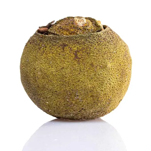 Шу Пу Эр в маленьком зеленом мандарине - 1 шт. - фото 7