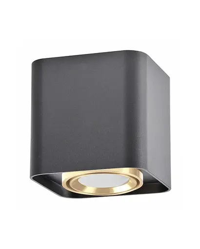 Точковий світильник Polux 325396 Xeno GU10 1x10W IP20 Bk - фото 1